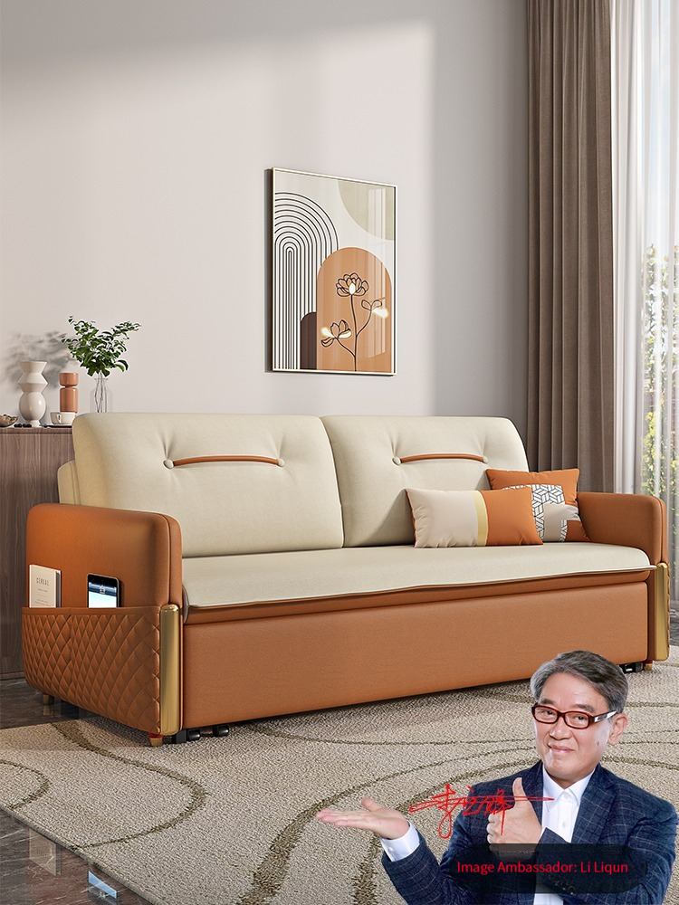 Light luxury sofa bed dual-purpose folding modern small living room ...